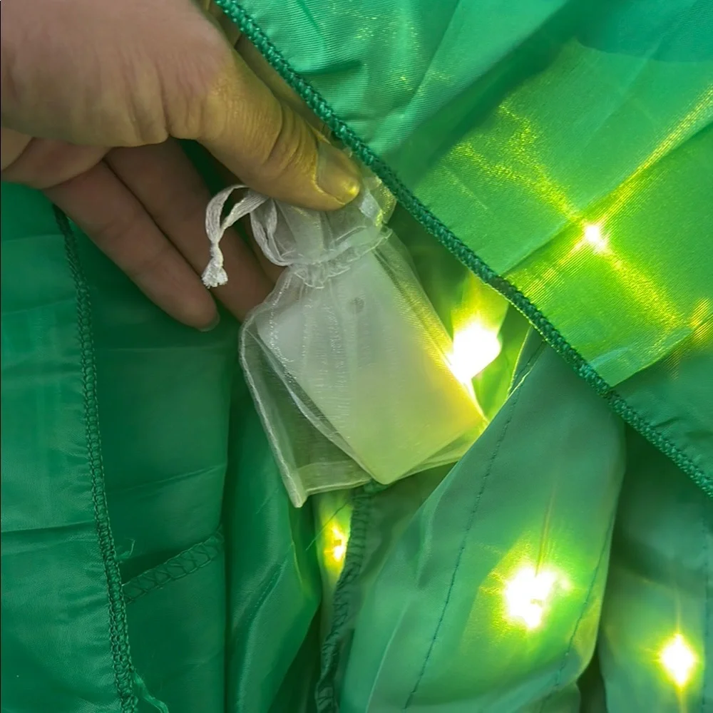 Kids Frozen Anna Green and Gold Light-Up Costume Dress - Picture 10 of 11